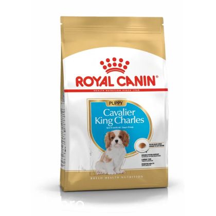 Royal Canin Cavalier King Charles Puppy - за кучета Кавалер Кинг Чарлз на въраст от 2 до 10 месеца 1.5 kg