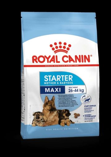 ROYAL CANIN MAXI STARTER Mother & Babydog - а женски кучета от едри породи и техните подрастващи кученца