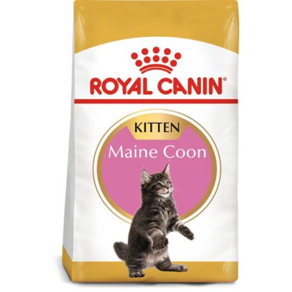 ROYAL CANIN MAINE COON Kitten - за подрастващи котенца от порода мейн куун